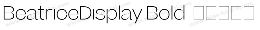 BeatriceDisplay Bold字体转换